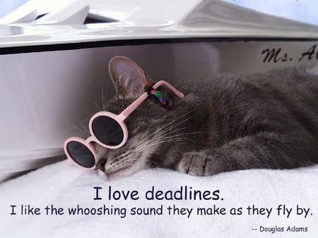 cat_deadline.jpg